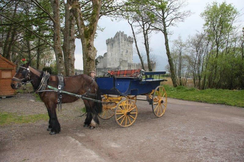 Lake Lodge Guesthouse Killarney Dış mekan fotoğraf