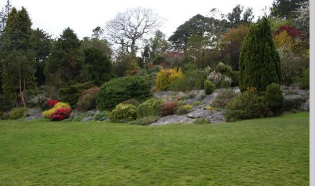 Lake Lodge Guesthouse Killarney Dış mekan fotoğraf