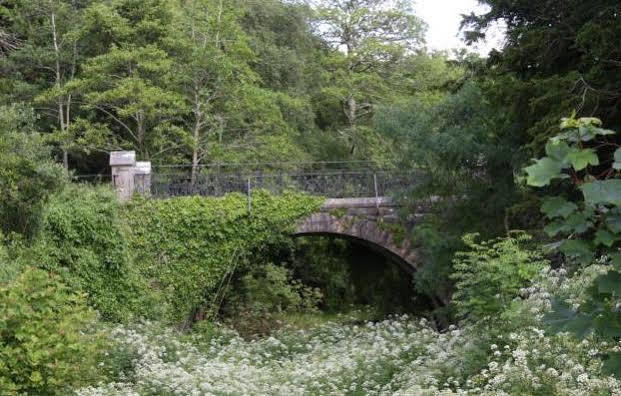 Lake Lodge Guesthouse Killarney Dış mekan fotoğraf