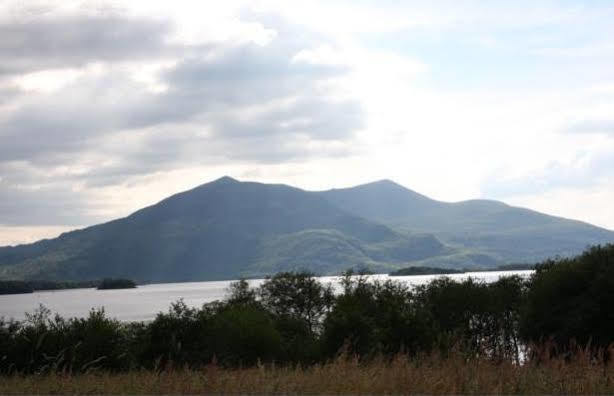 Lake Lodge Guesthouse Killarney Dış mekan fotoğraf