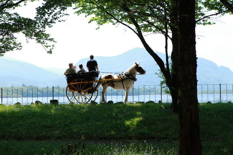 Lake Lodge Guesthouse Killarney Dış mekan fotoğraf