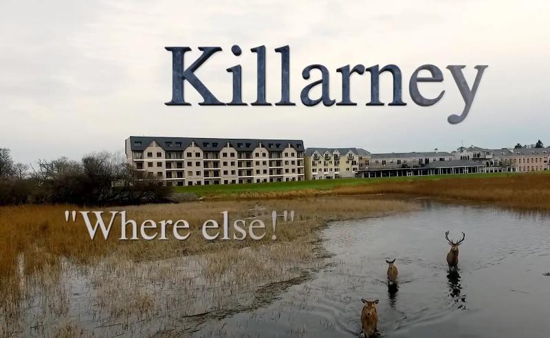 Lake Lodge Guesthouse Killarney Dış mekan fotoğraf
