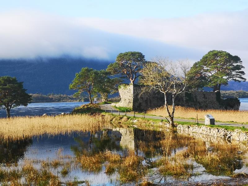 Lake Lodge Guesthouse Killarney Dış mekan fotoğraf