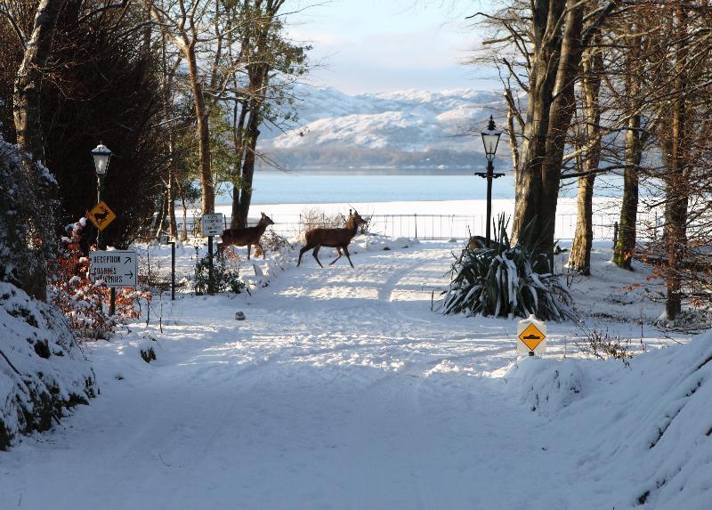 Lake Lodge Guesthouse Killarney Dış mekan fotoğraf